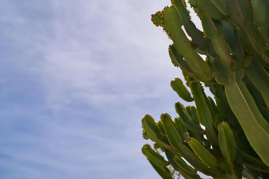 Ricardo Villa San Jose  Holiday home San Jose (Almeria)